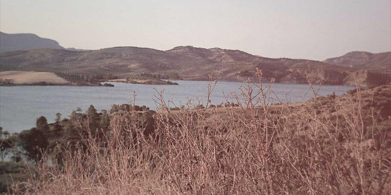 海岛奇兵39级司令部兵种搭配全解析:制霸海域的进阶战术与社区智慧