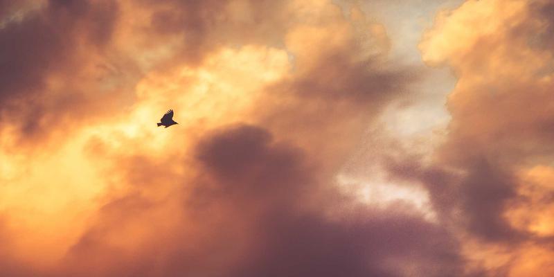 海岛奇兵6：玩家社区如何驱动阵型设计的革命与进化