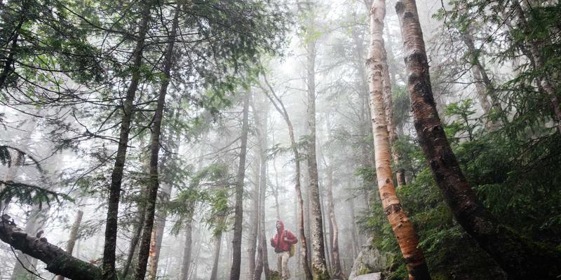《海岛奇兵》85级进阶指南：兵种搭配、阵型设计与玩家社区生态全解析
