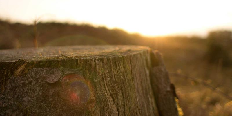 《海岛奇兵》（Boom Beach）终极战术指南：从新手到高手的超级细胞制胜法则