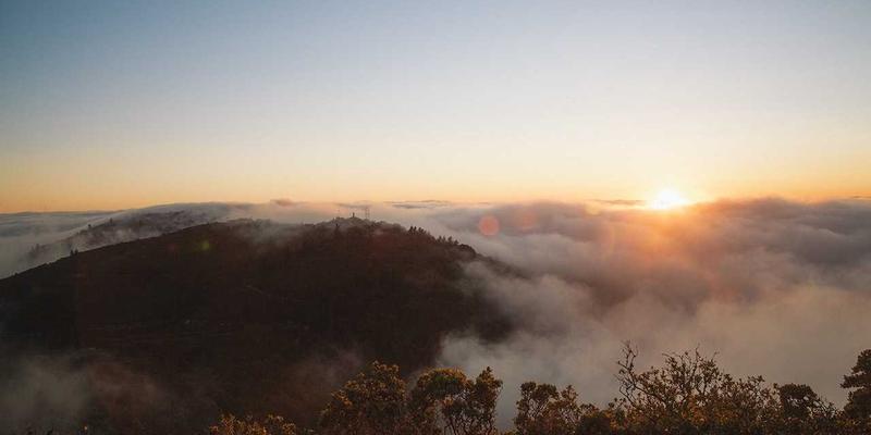 海岛奇兵克隆岛活动攻略：低成本通关阵容与能量管理核心技巧