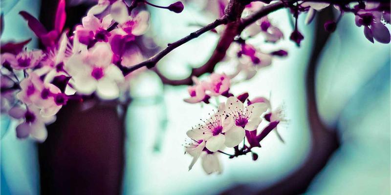 海岛奇兵兵种克制关系全解析：从野人到坦克的实战应用策略