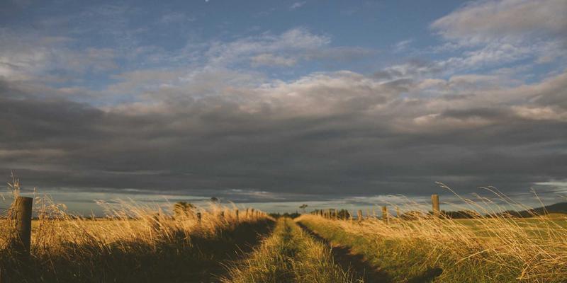 海岛奇兵博士岛通关全攻略：各阶段核心阵容与战术指南