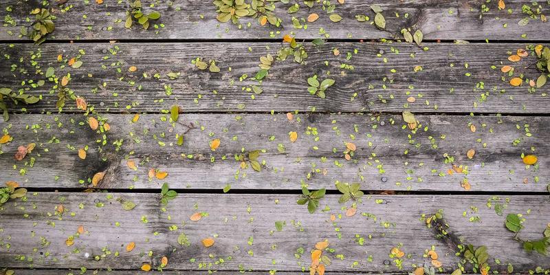 海岛奇兵博士岛通关全攻略：阵型设计与资源最大化获取技巧