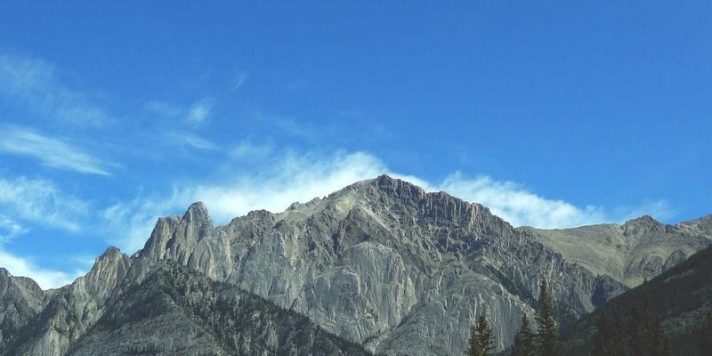 《海岛奇兵》哈莫曼反击终极战术指南：针对不同兵种的防御阵型与陷阱布局