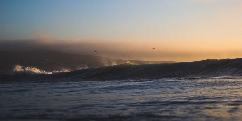 《海岛奇兵》战术进阶指南：善用玩家社区，掌握超级细胞的制胜法则