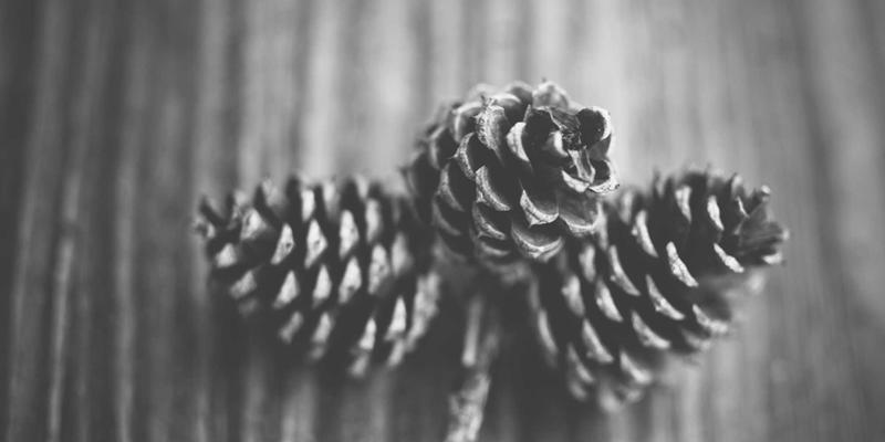 《海岛奇兵》终极入门指南：从阵型设计到战术制胜