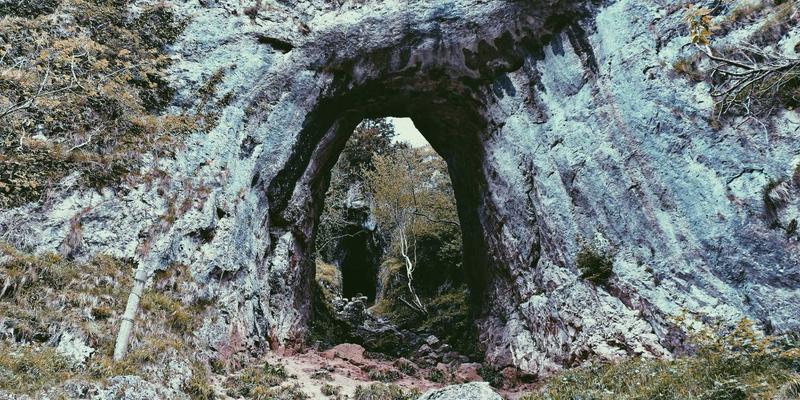 海岛奇兵资源获取全攻略：超级细胞玩家社区公认的金币与木材高效采集技巧